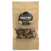 Runoland Podgrzybek suszony 20 g Bio
