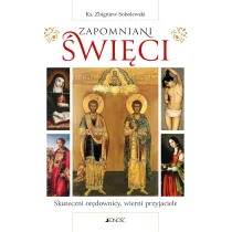Zapomniani �wi�ci. Skuteczni or�downicy, wierni przyjaciele
