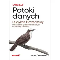 Potoki danych. Leksykon kieszonkowy. Przenoszenie i przetwarzanie danych na potrzeby ich analizy