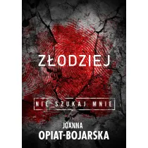 Z�odziej. Nie szukaj mnie. Tom 1