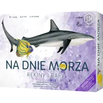 Na dnie morza: Rekiny i rafy Rebel