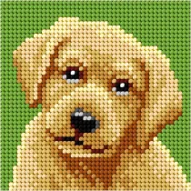 Haft. Moje pierwsze wyszywanie - Labrador Anex-bis