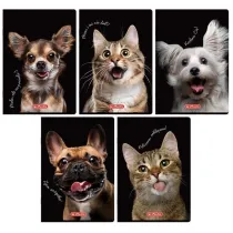 Herlitz Zeszyt A6/32K kratka Crazy Animal MIX (12 szt)