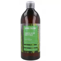 Barwa Zioowa szampon zioowy do wosw wypadajcych Skrzyp Polny 480 ml