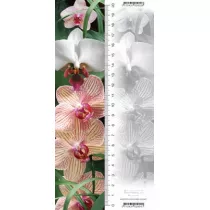 Worth Keeping Zakadka 3D Orchidea
