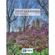 Deep Learning. Systemy ucz�ce si�
