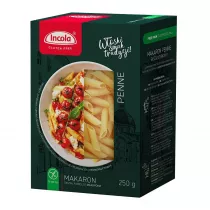 Gfs Poland Makaron Penne bezglutenowy 250 g