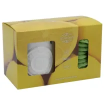 Zestaw - kominek i wosk zapachowy Citronella