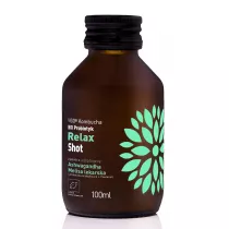 Vigo Yoko Shot kombucha relax bezglutenowy 100 ml Bio