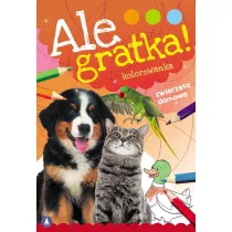 Ale gratka! Zwierz�ta domowe