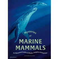 Mysteries of Marine Mammals. An Illustrated Guide to Whales, Dolphins, and Porpoises