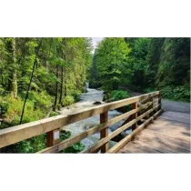 Norimpex Malowanie po numerach - Las, pomost drewiany nad potokiem 40x50cm