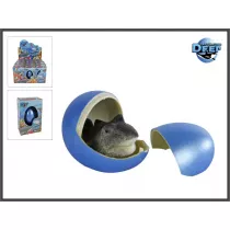 Jajo rosnce rekin 6 cm 3-rodzaje Hipo