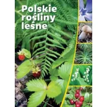 Polskie Ro�liny le�ne