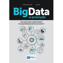Big Data w przemy�le. Jak wykorzysta� analiz� danych do optymalizacji koszt�w proces�w?