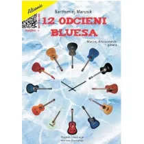 12 odcieni bluesa + MP3