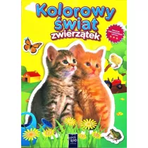 Kolorowy �wiat zwierz�tek. Dwa kotki