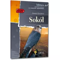 Sok. Lektura z opracowaniem