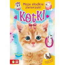 Moje s�odkie zwierzaki. Kotki
