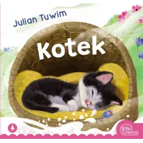 Kotek