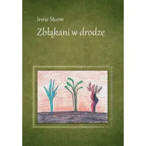 Zb��kani w drodze
