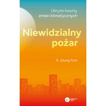 Niewidzialny po�ar. Ukryte koszty zmian klimatycznych