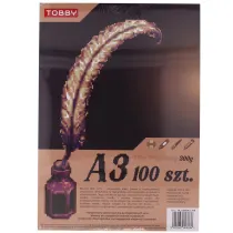 Papier Brystol A3 100 ark.300g
