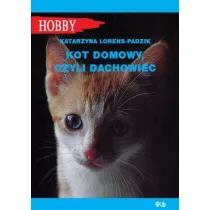 Kot domowy, czyli dachowiec