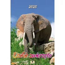Kalendarz 2025 Dzikie zwierzta cienny A3–VD.15