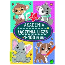 Akademia czenia liczb 1-100 plus