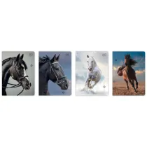 Interdruk Zeszyt A5/32K kratka M 70g UV Wild Horses (10szt)