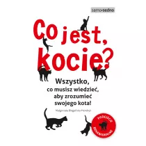 Co jest, kocie? Wszystko, co musisz wiedzie, aby zrozumie swojego kota