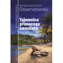 Tajemnica p�on�cego samolotu