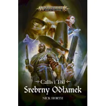 Srebrny od�amek