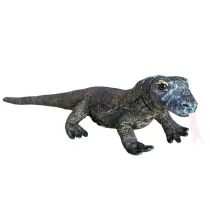 Waran z Komodo 70cm Dubi