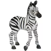 Zebra �rebi�