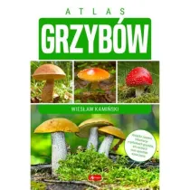Atlas grzyb�w