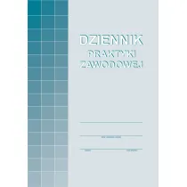 Michalczyk i Prokop Dziennik praktyki zawodowej A-100-3