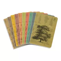 Zeszyt A5 By Nature - Forrest kratka 80 kartek 10 szt.