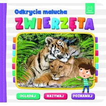 Odkrycia malucha. Zwierzta. Ogldaj, nazywaj, poznawaj