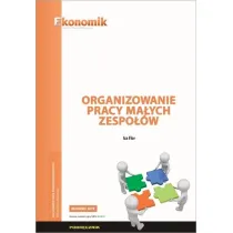 Organizowanie pracy ma�ych zespo��w podr�cznik
