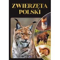 Zwierz�ta Polski