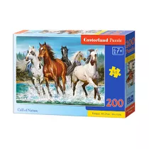 Puzzle 200 el. Call of Nature Castorland