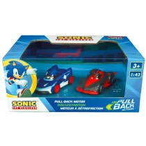 Team Sonic Racing - Sonic vs. Shadow Twinpack Carrera