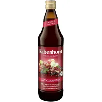 Rabenhorst Sok wieloowocowy NFC antyoksydant 750 ml Bio