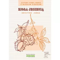 Zioa jesieni. Cztery pory roku z Niezym Zikiem