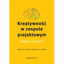 Kreatywno�� w zespole projektowym