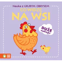 Co widz na wsi. Nauka z grubym obrysem