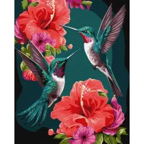 Ideyka Malowanie po numerach okr�g�e - Szmaragdowe kolibry 40x50cm