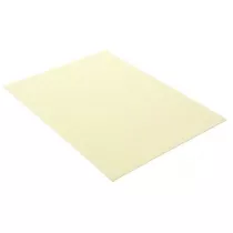 Penword Filc dekoracyjny 20x30 cm ecru 10 szt.